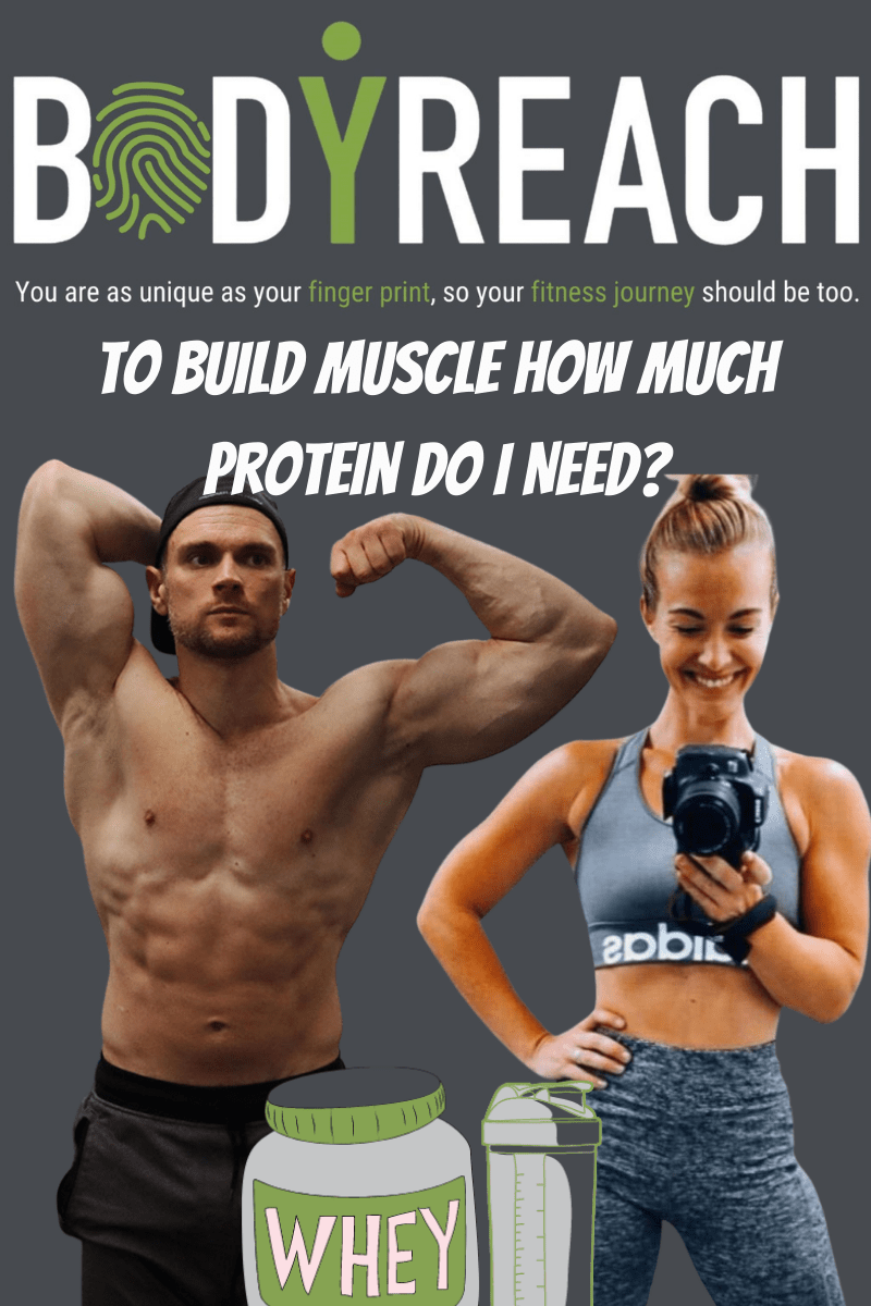 To Build Muscle How much Protein Do I Need?